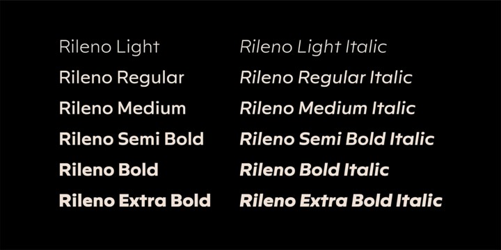 Пример шрифта Rileno Sans #3